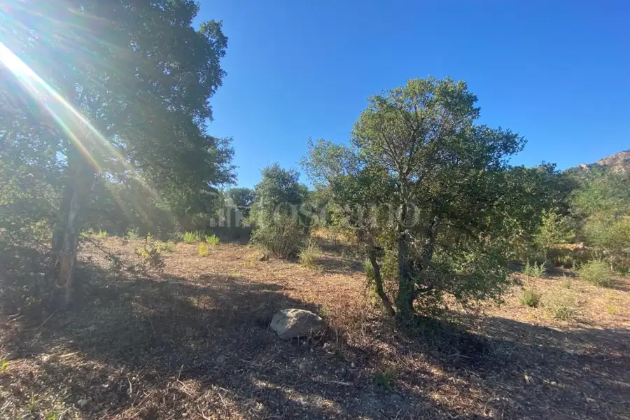 Edificabile Residenziali in vendita di 939 mq a €97.000 (rif. 5/2026)