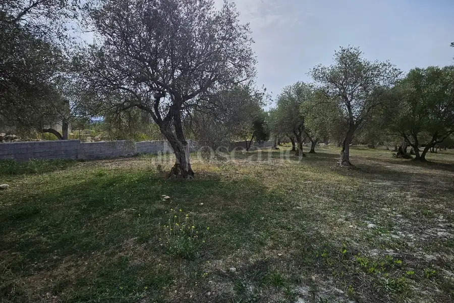 Edificabile Residenziali in vendita di 10.000 mq a €99.000 (rif. 176/2025)