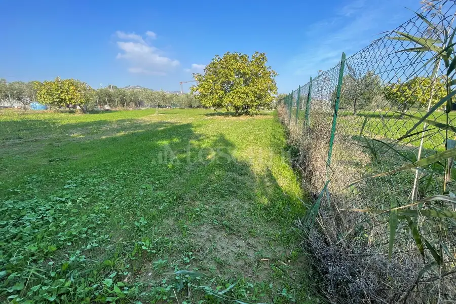 Agricolo in vendita di 1.288 mq a €37.000 (rif. 59/2025)