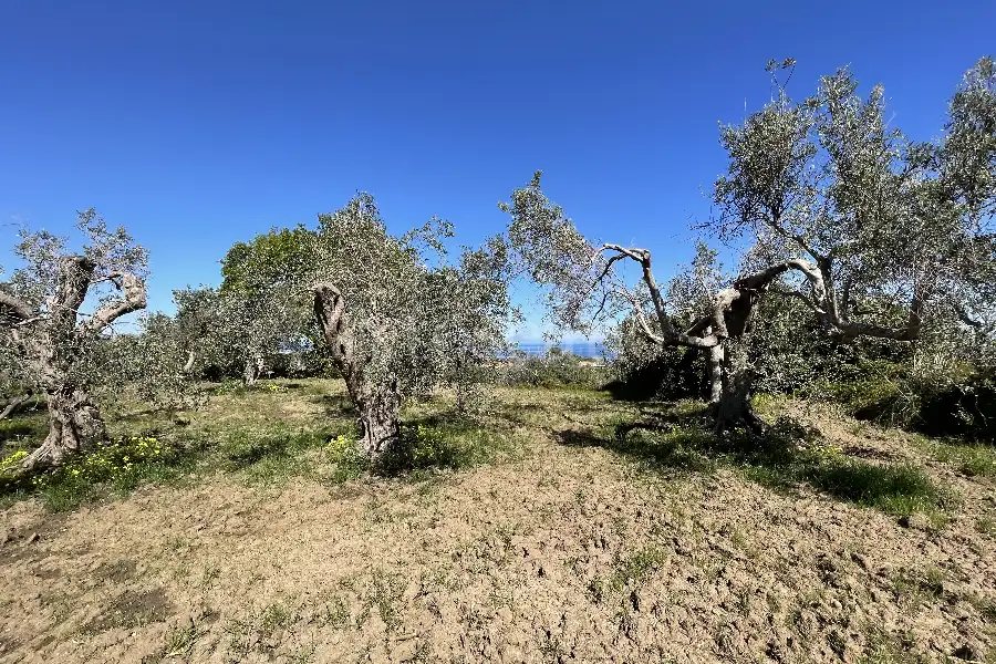 Rustico in vendita di 178 mq a €70.000 (rif. 14/2026)