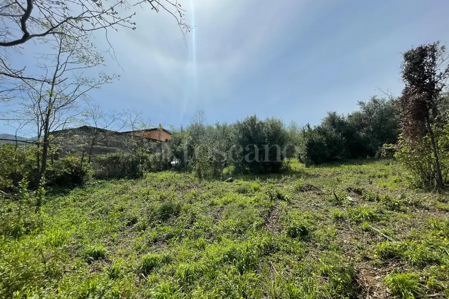 Edificabile Residenziali in vendita di 4.900 mq a €117.000 (rif. 44/2025)