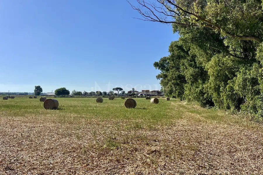 Agricolo in vendita di 75.000 mq a €250.000 (rif. 50/2026)