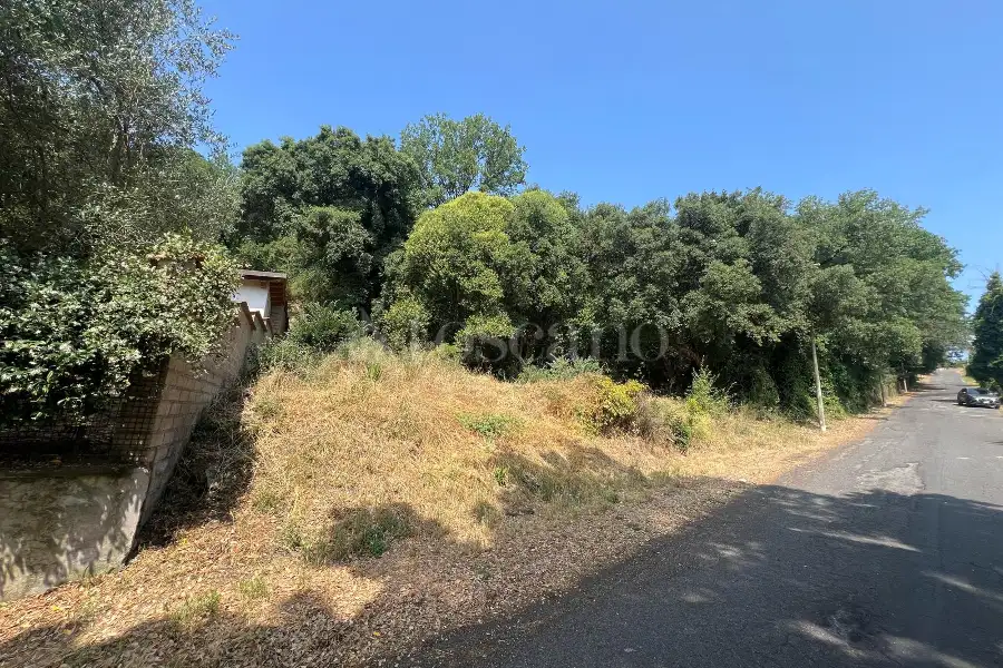 Agricolo in vendita di 3.000 mq a €55.000 (rif. 38/2025)