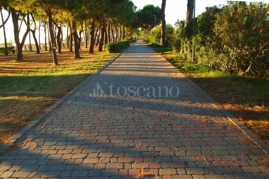 Casa in affitto di 90 mq a €2.500 (rif. 5/2025)