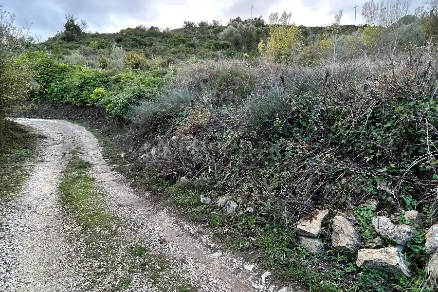 Agricolo in vendita di 4.300 mq a €10.000 (rif. 213/2025)