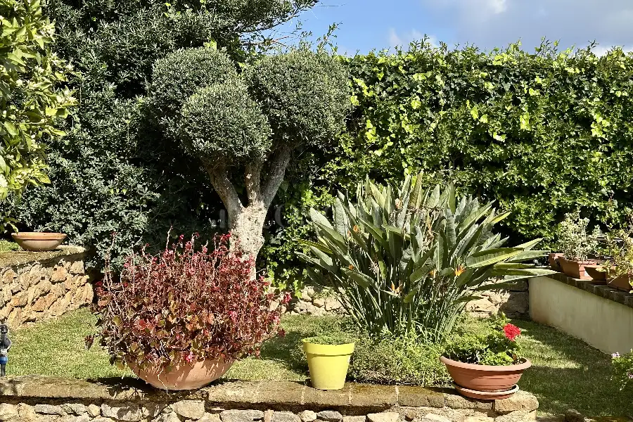 Villa in vendita di 240 mq a €475.000 (rif. 14/2026)