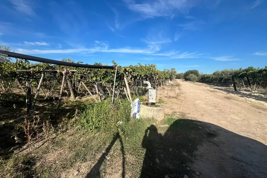 Agricolo in vendita di 7.000 mq a €69.000 (rif. 54/2025)