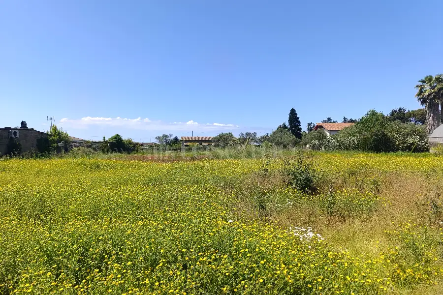 Edificabile Residenziali in vendita di 9.000 mq a €195.000 (rif. 32/2026)
