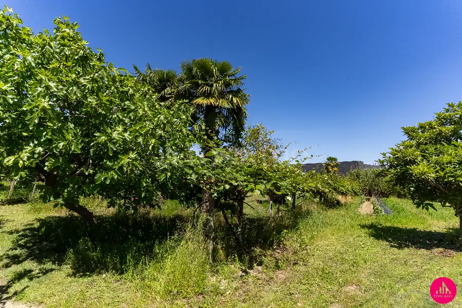 Casa Indipendente in vendita di 285 mq a €155.000 (rif. 82/2026)