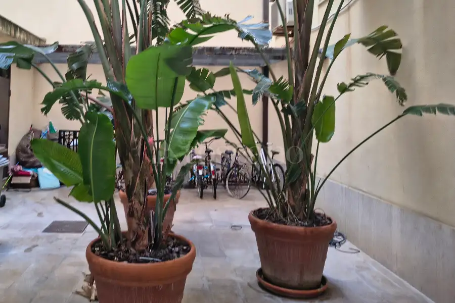 Casa in vendita di 110 mq a €200.000 (rif. 66/2025)