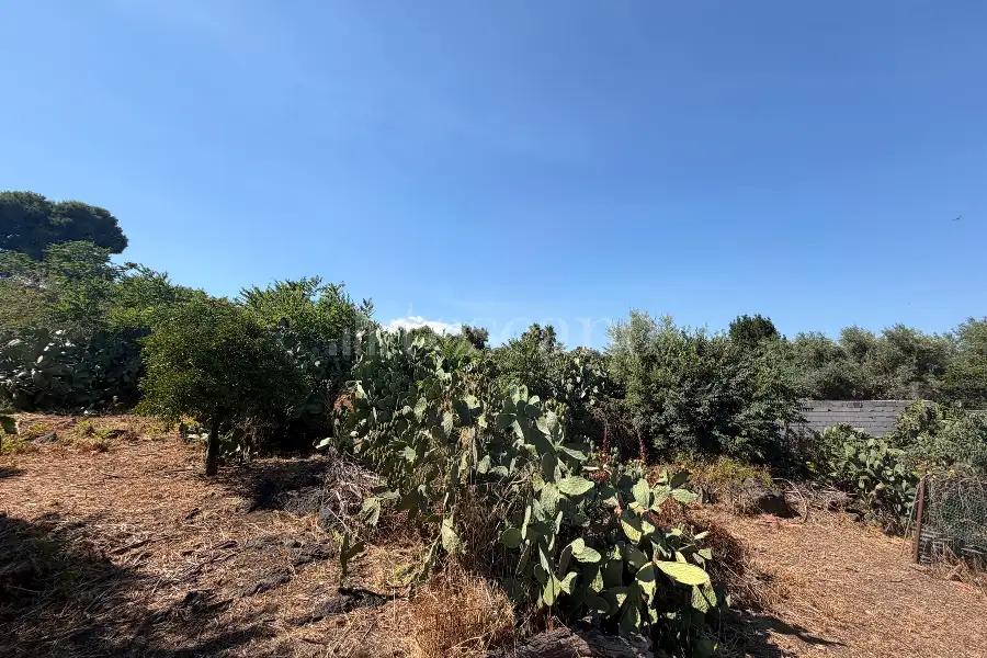 Villa in vendita di 6.000 mq a €659.000 (rif. 116/2026)