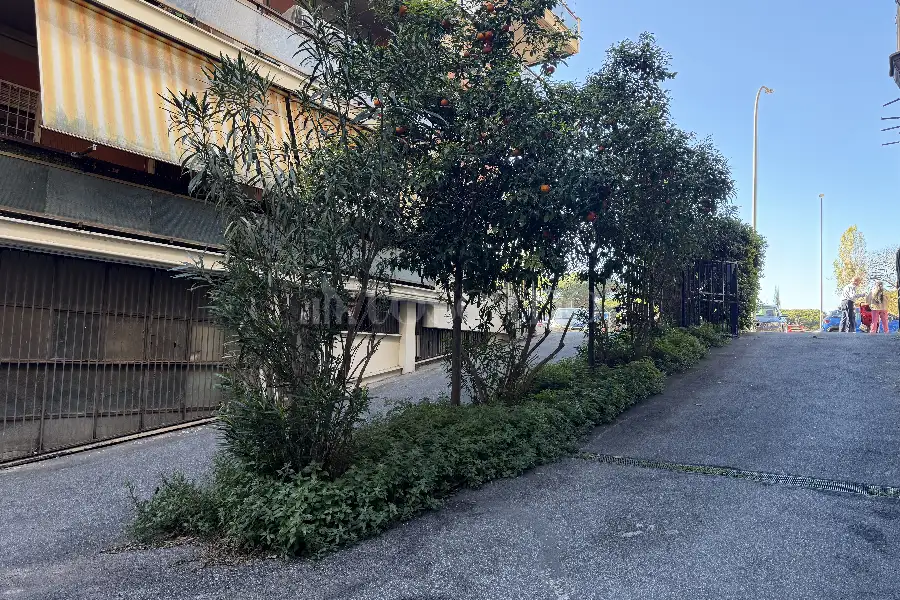 Box in vendita di 21 mq a €39.000 (rif. 79/2024)
