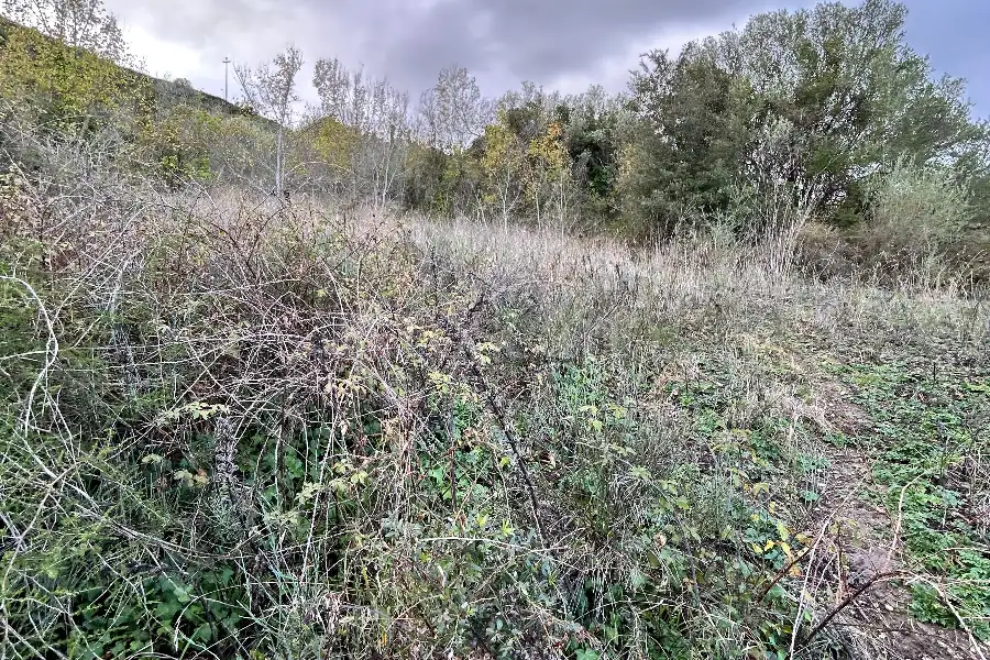 Agricolo in vendita di 4.300 mq a €10.000 (rif. 213/2025)
