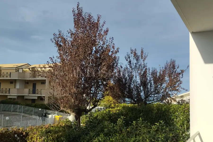 Casa in affitto di 50 mq a €460 (rif. 42/2026)