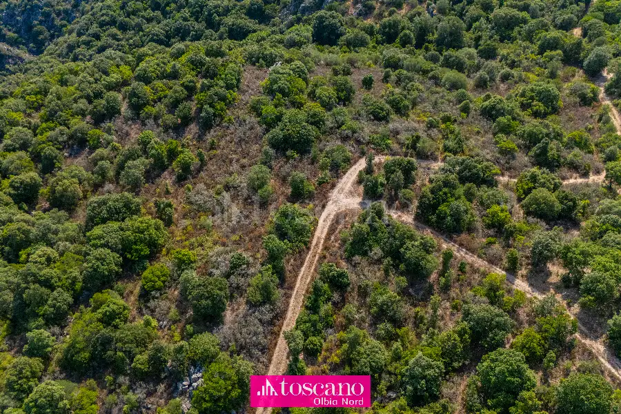 Agricolo in vendita di 176.937 mq a €170.000 (rif. 49/2026)