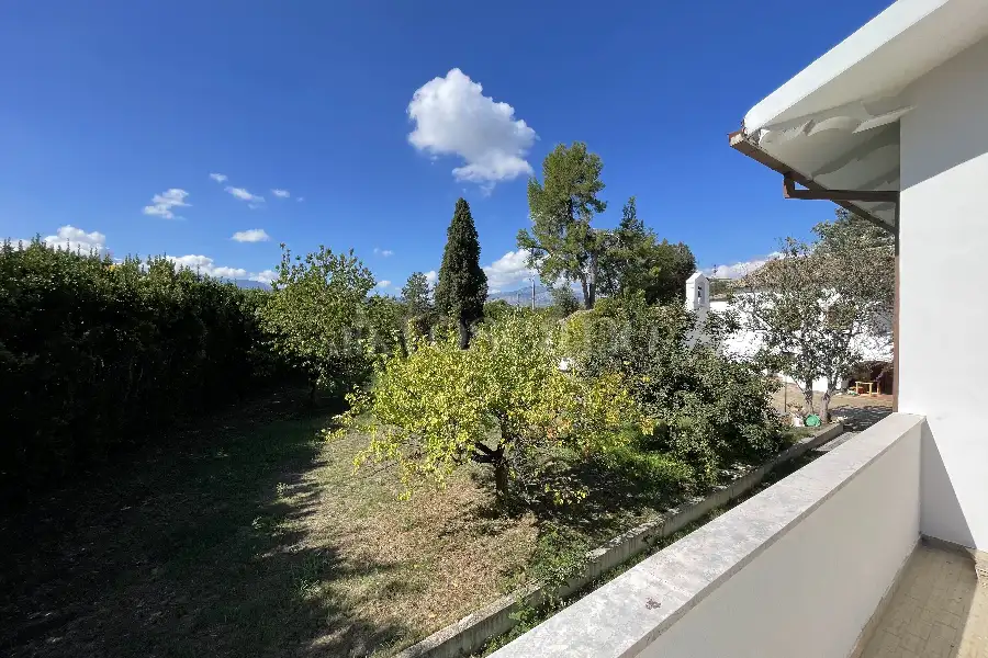 Villa Plurifamiliare in vendita di 25.000 mq a €650.000 (rif. 24/2024)