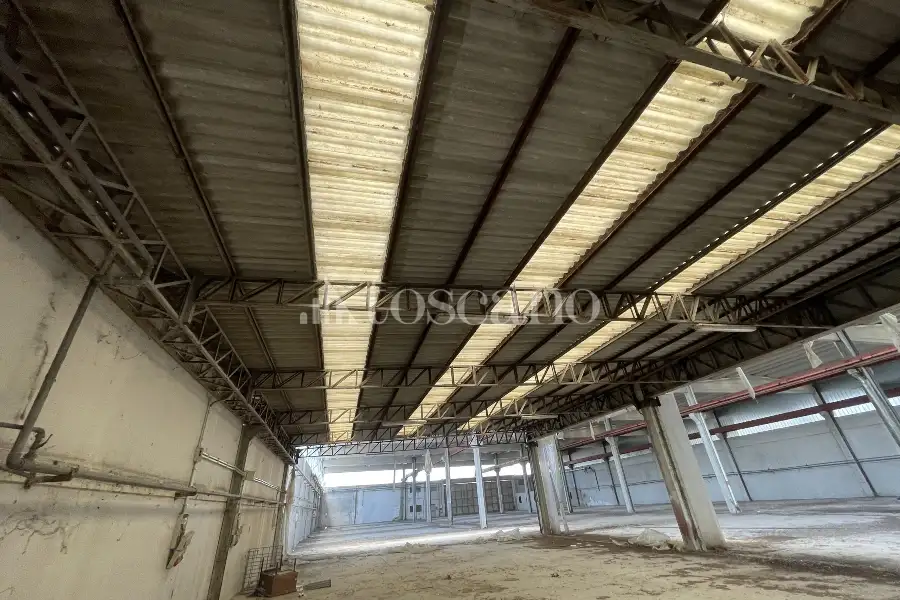 Capannone in vendita di 3272 mq a €316,000 (rif. BL6145VE-1)