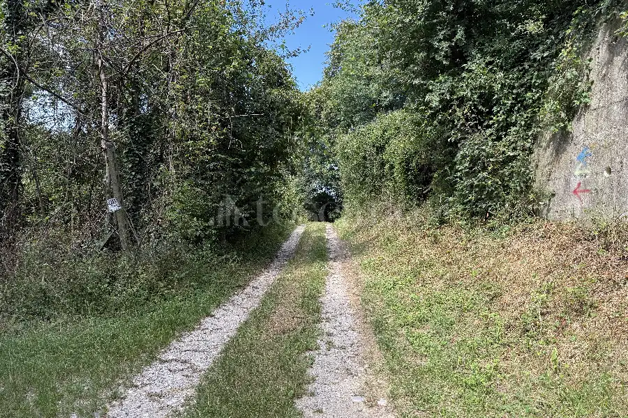 Agricolo in vendita di 3.000 mq a €65.000 (rif. 18/2026)