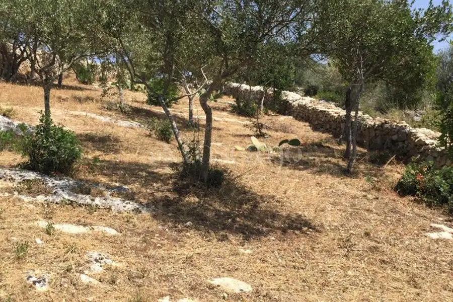 Agricolo in vendita di 2.046 mq a €25.000 (rif. 165/2026)