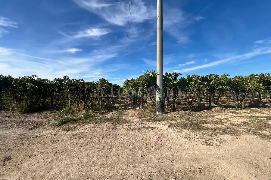 Agricolo in vendita di 7.000 mq a €69.000 (rif. 54/2025)