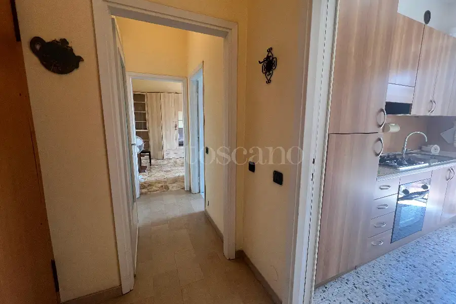 Casa in affitto di 41 mq a €550 (rif. 25/2026)