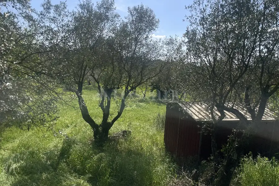 Agricolo in vendita di 3.360 mq a €12.000 (rif. 22/2026)
