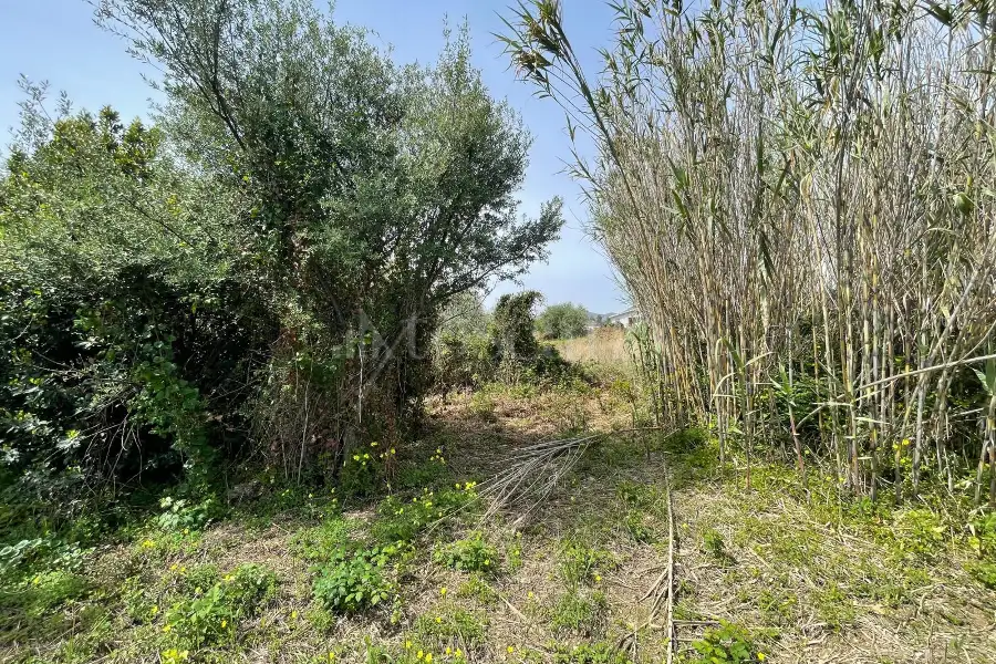 Edificabile Residenziali in vendita di 4.900 mq a €125.000 (rif. 44/2025)