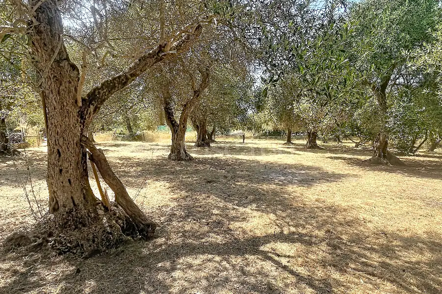 Casa Indipendente in vendita di 100 mq a €139.000 (rif. 176/2026)
