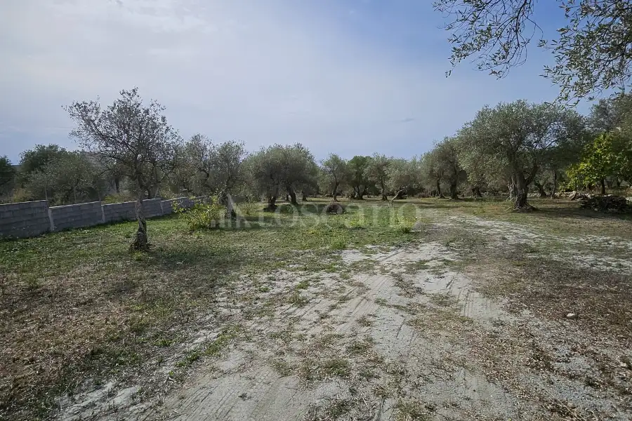 Edificabile Residenziali in vendita di 10.000 mq a €99.000 (rif. 176/2025)