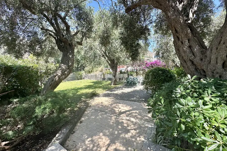 Cantina in vendita di 42 mq a €52.000 (rif. 37/2026)
