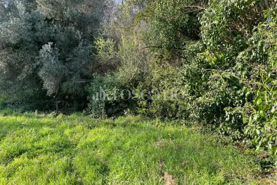 Edificabile Residenziali in vendita di 2.460 mq a €89.000 (rif. 22/2026)