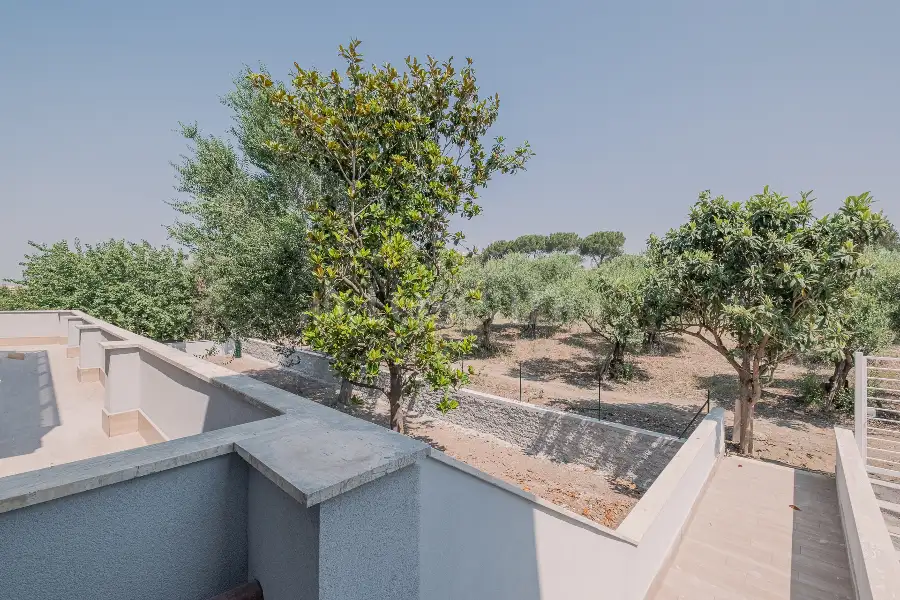 Casa in affitto di 50 mq a €1.000 (rif. 17/2026)