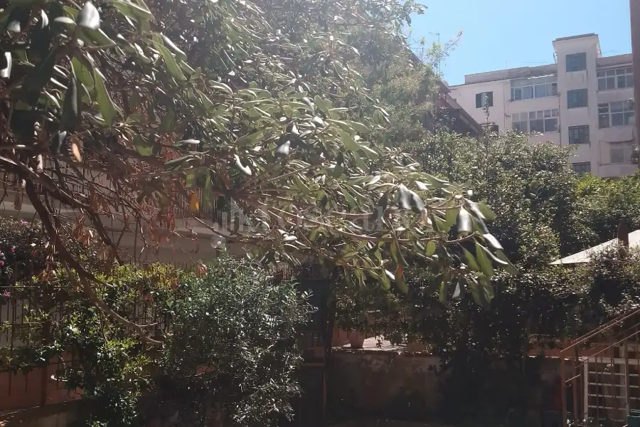 Casa in affitto di 71 mq a €770 (rif. 11/2026)