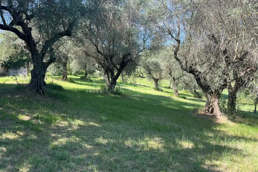 Villa in vendita di 300 mq a €339.000 (rif. 33/2026)
