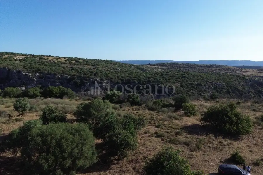 Agricolo in vendita di 130.000 mq a €149.000 (rif. 95/2025)