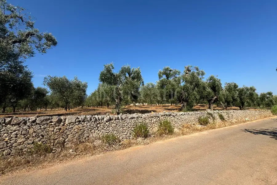 Villa in vendita di 50 mq a €55.000 (rif. 12/2025)