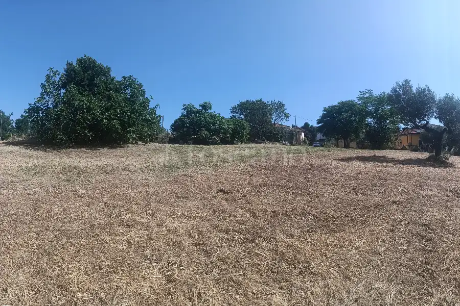 Agricolo in vendita di 12.000 mq a €89.500 (rif. 31/2025)