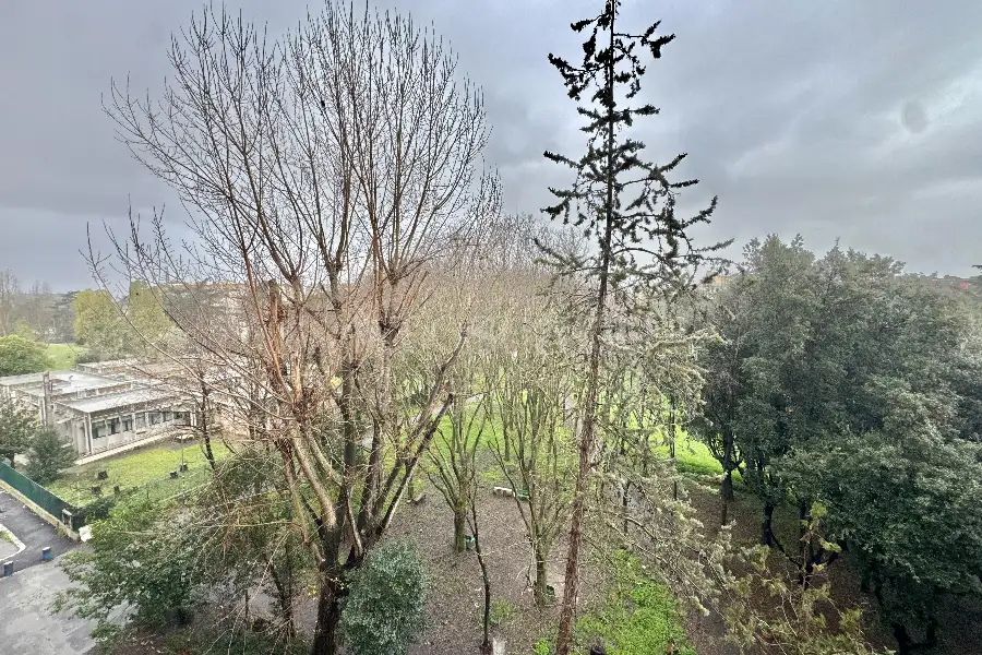 Casa in vendita di 50 mq a €159.000 (rif. 8/2026)