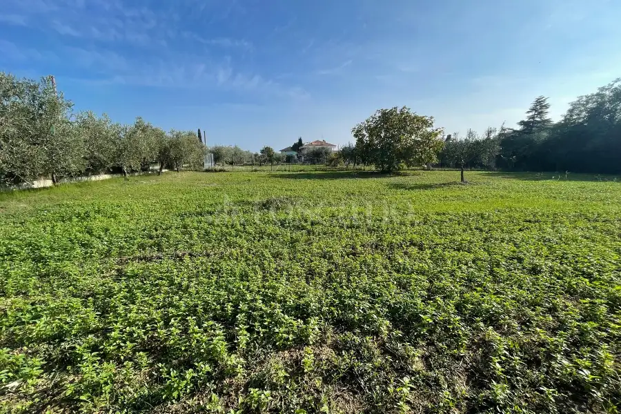 Agricolo in vendita di 1.288 mq a €37.000 (rif. 59/2025)