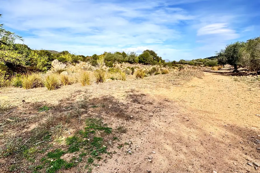 Agricolo in vendita di 375.217 mq a €480.000 (rif. 55/2024)