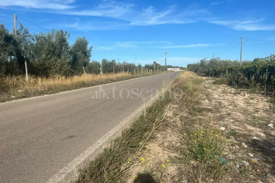 Agricolo in vendita di 7.000 mq a €69.000 (rif. 54/2025)