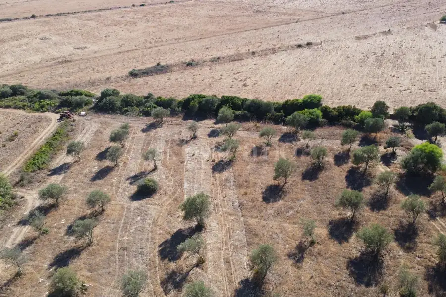 Agricolo in vendita di 10.000 mq a €45.000 (rif. 208/2026)