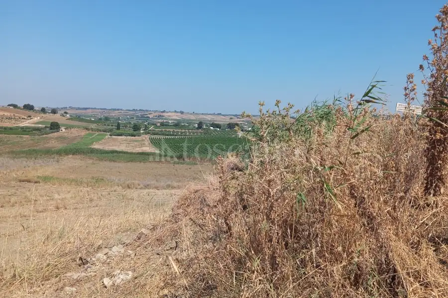 Agricolo in vendita di 8.000 mq a €50.000 (rif. 22/2026)