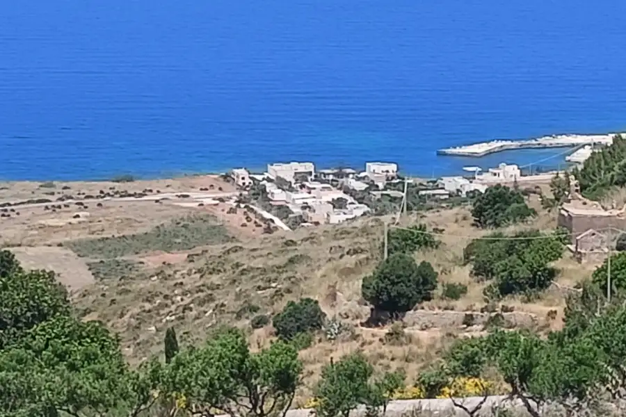 Agricolo in vendita di 37.700 mq a €225.000 (rif. 31/2026)