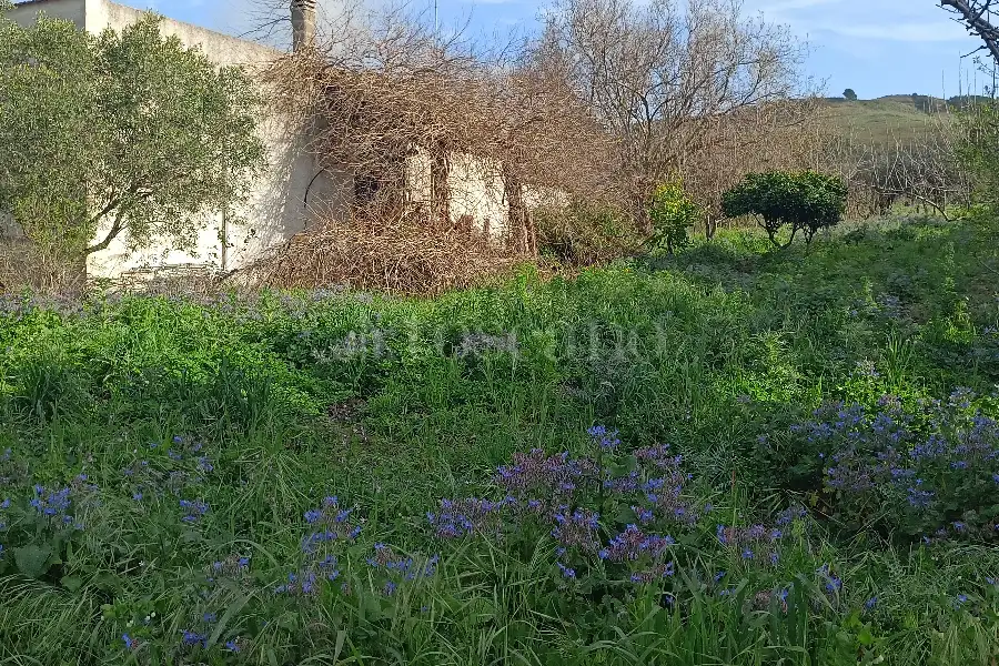 Casa Indipendente in vendita di 205 mq a €65.000 (rif. 12/2026)