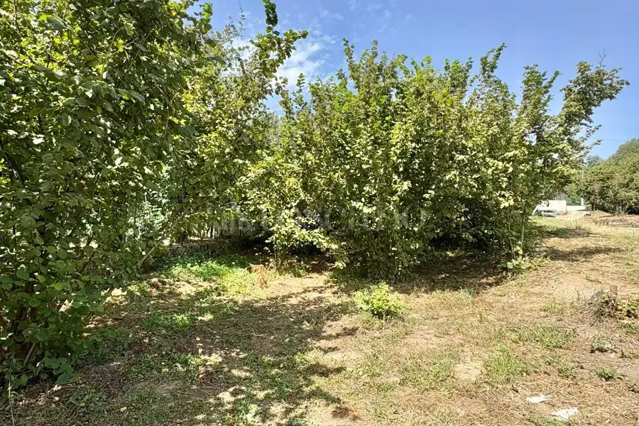 Edificabile Residenziali in vendita di 1.680 mq a €50.000 (rif. 129/2026)