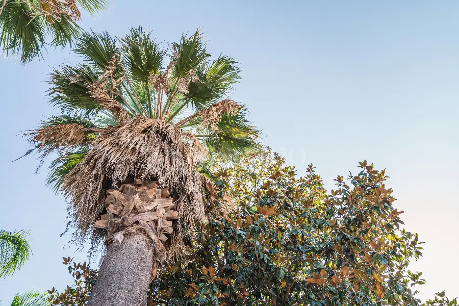 Villa in vendita di 145 mq a €398.000 (rif. 55/2024)