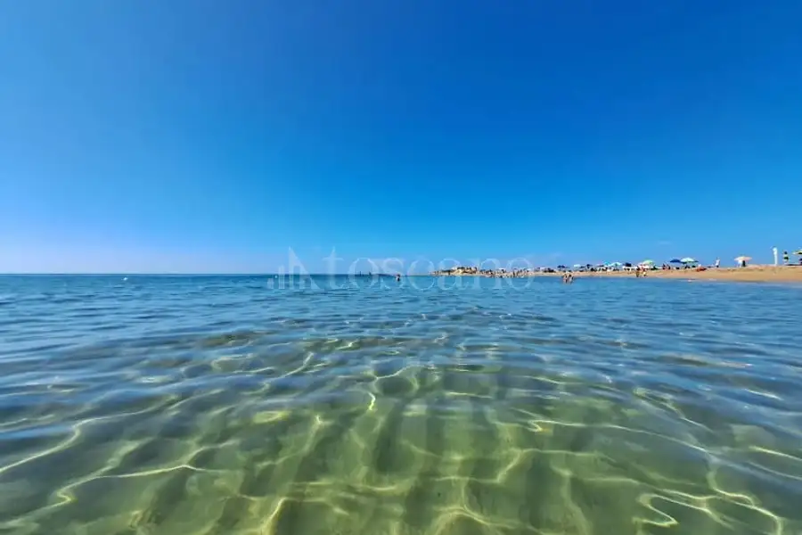 Attività Commerciale in vendita di 12.000 mq a €1.250.000 (rif. 54/2026)