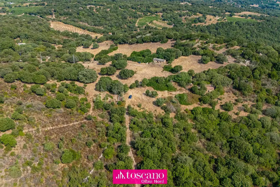 Agricolo in vendita di 176.937 mq a €170.000 (rif. 49/2026)