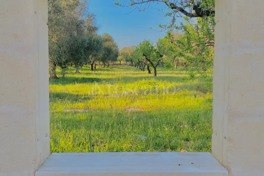 Villa in vendita di 110 mq a €350.000 (rif. 22/2026)